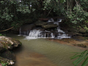Pozo Picapiedra San José del Guaviare