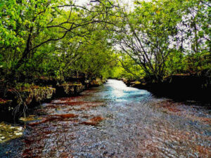 RA 3 - Charco Largo