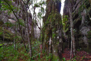 San Jose del Guaviare Serrania la Lindosa