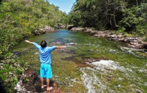 reserva madre selva 2