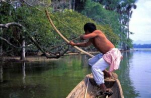Cabañas Nainekü Lodge en San Martín de Amacayacu, rodeadas por la selva amazónica y el río Amacayacu, cerca de Leticia.