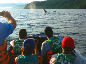 Ballenas-1