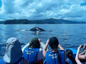 Ballenas-7