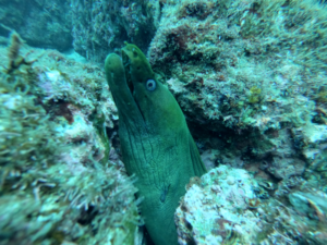 Buceo 5