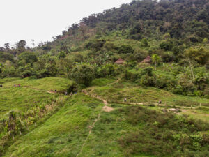 DJI_0261
