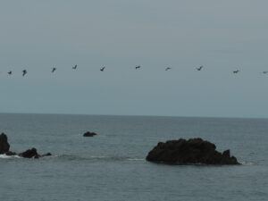 DSCN0175