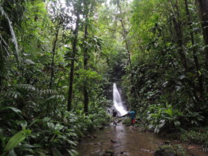 DSCN0409