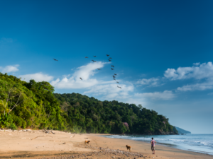 Playa de Oro