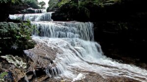 cascada los pianos