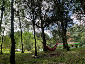 zona