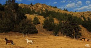 Caminatas en Suesca