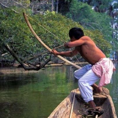 Cabañas Nainekü Lodge en San Martín de Amacayacu, rodeadas por la selva amazónica y el río Amacayacu, cerca de Leticia.