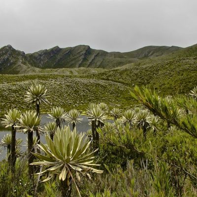 Lagunas sagradas de Siecha